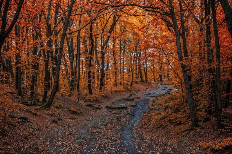 Fairytale Splendor